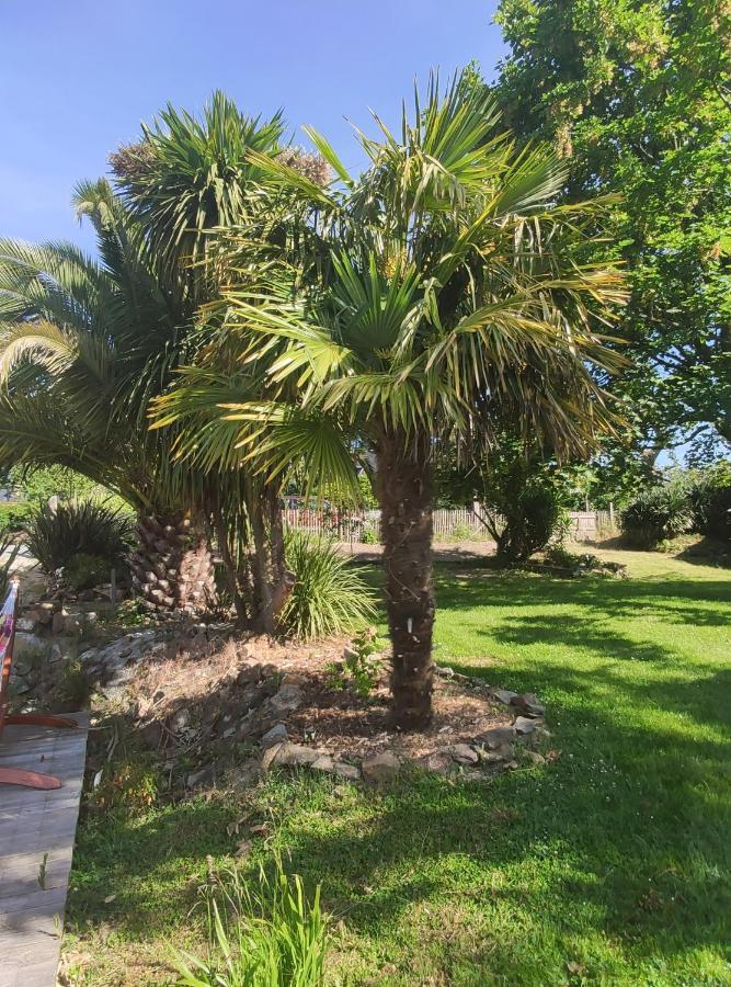 La Petite Hautiere Maison 2 Personnes Plouer Sur Rance Avec Piscine Lägenhet Exteriör bild