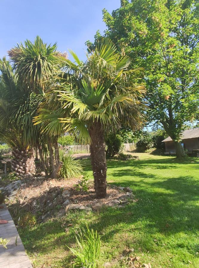 La Petite Hautiere Maison 2 Personnes Plouer Sur Rance Avec Piscine Lägenhet Exteriör bild