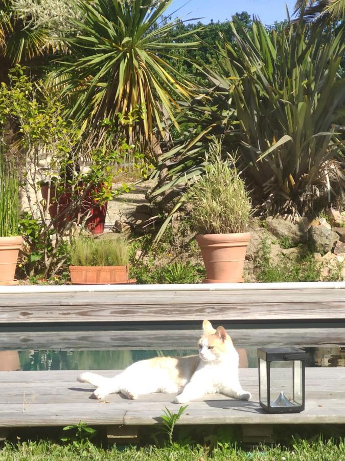 La Petite Hautiere Maison 2 Personnes Plouer Sur Rance Avec Piscine Lägenhet Exteriör bild